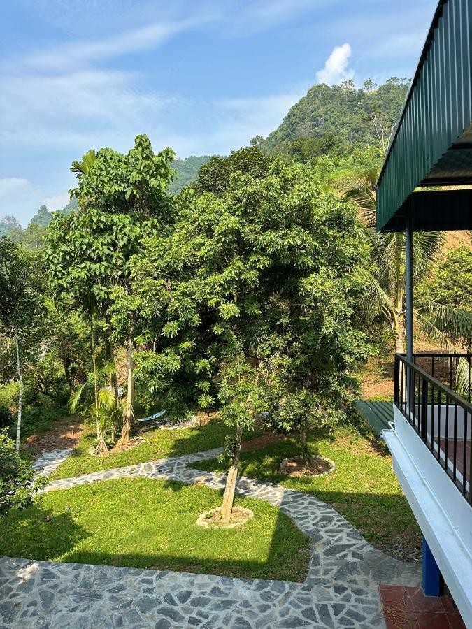 Felila Hostel & Tours Ha Giang Buitenkant foto